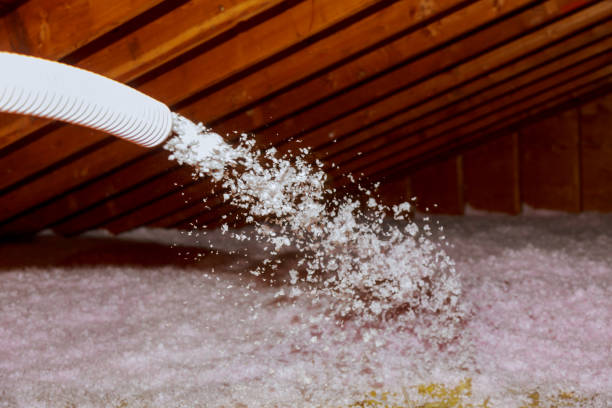 Insulation Contractors for Homes in Beechwood, MI