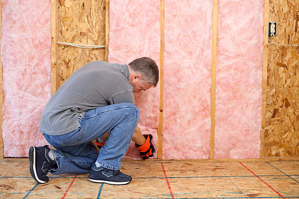 Best Blown-in Insulation  in Beechwood, MI