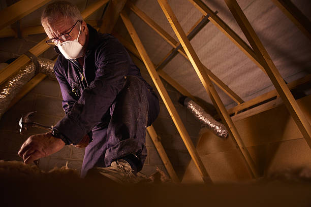 Best Crawl Space Insulation  in Beechwood, MI